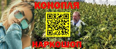 ALPHA PVP Будённовск
